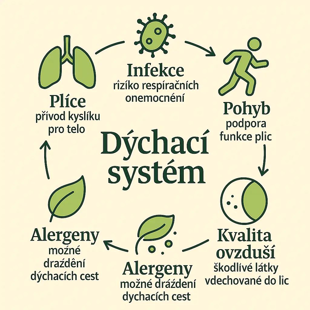 Graf znázorňující, co poškozuje a co pomáhá dýchacím cestám